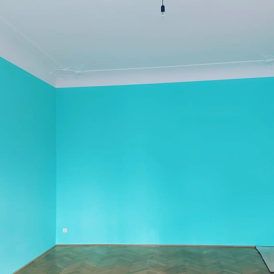 332821174_3126795640951226_6978185460758646148_n